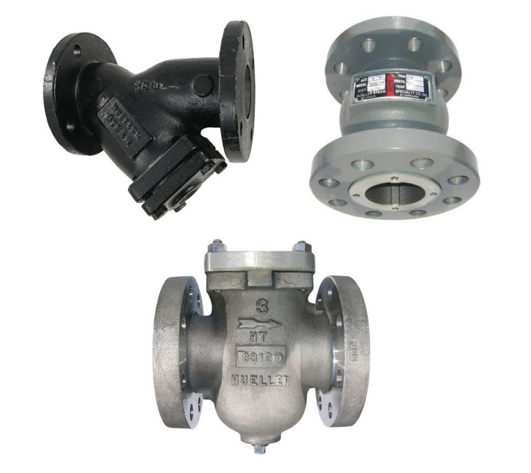 Mueller Steam Specialty Spirit Group Inc.